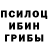 Псилоцибиновые грибы Magic Shrooms Sh0ter Channel